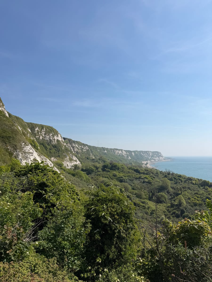 The White Cliffs and green slopes above a calm sea on a clear day